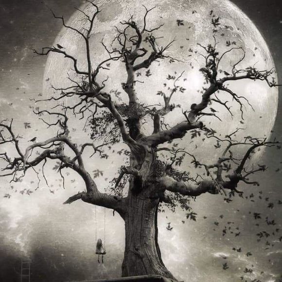 Meet your Posher, Marshall - Picture 1 of 1